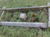 image of grave number 471582